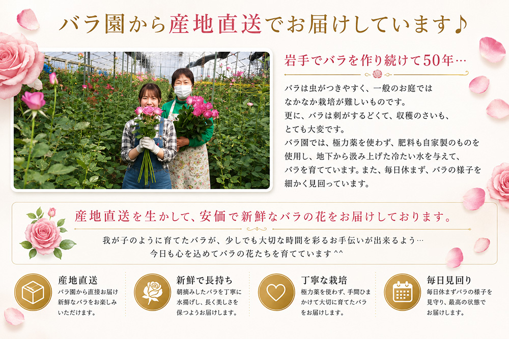 バラ園産地直送