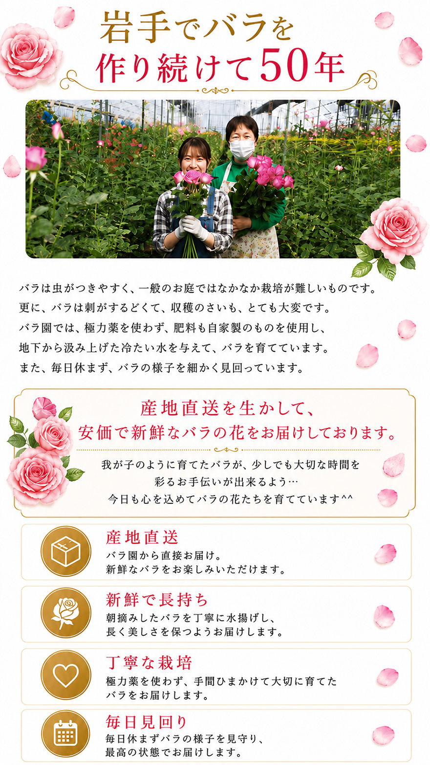 バラ園産地直送