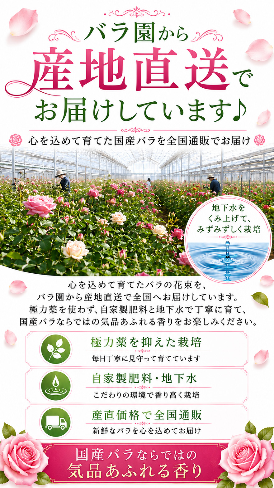 岩手のバラ園紹介