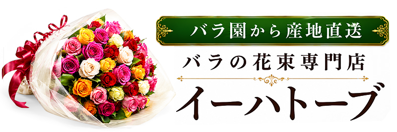 バラの花束なら産地直送の専門店イーハトーブ｜鮮度抜群の国産バラ